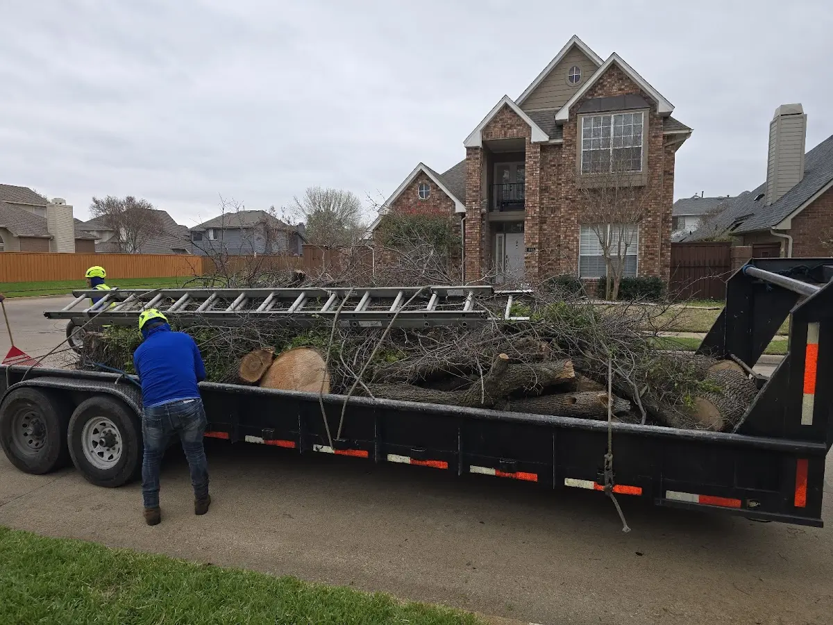 Expert Tree Fertilization with proper safety equipment in Vivian